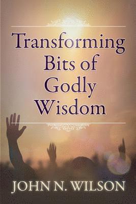 bokomslag Transforming Bits of Godly Wisdom