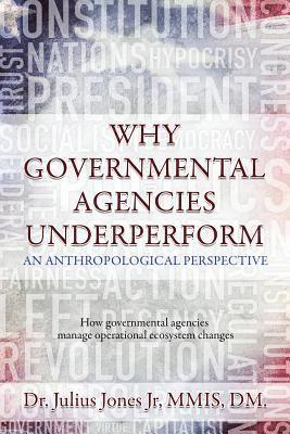 bokomslag Why Governmental Agencies Underperform: How governmental agencies manage operational ecosystem changes