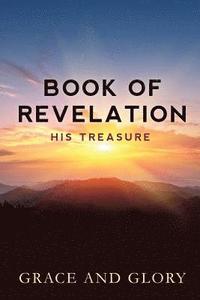 bokomslag Book of Revelation: His Treasure