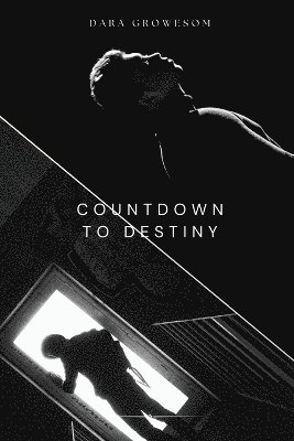 bokomslag Countdown to Destiny