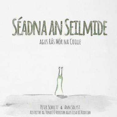 bokomslag Séadna an Seilmide agus Rás Mór na Coille