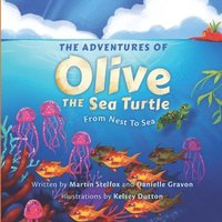 bokomslag The Adventures of Olive the Sea Turtle: From Nest to Sea