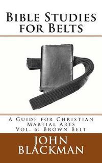 bokomslag Bible Studies for Belts: A Guide for Christian Martial Arts Vol. 6: Brown Belt