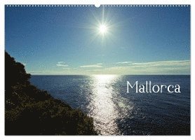 Lynda Cheldelin Fell - Remembering My Child, Häftad
