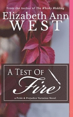 bokomslag Test of Fire