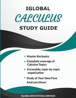 bokomslag iGlobal Calculus Study Guide