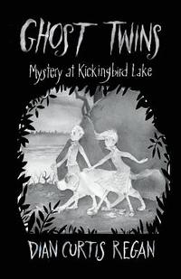 bokomslag Ghost Twins: Mystery at Kickingbird Lake