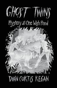 bokomslag Ghost Twins: Mystery of One Wish Pond