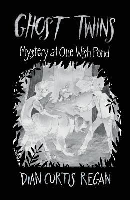 bokomslag Ghost Twins: Mystery of One Wish Pond