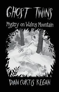 bokomslag Ghost Twins: Mystery on Walrus Mountain