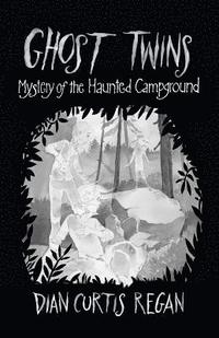 bokomslag Ghost Twins: Mystery of the Haunted Campground