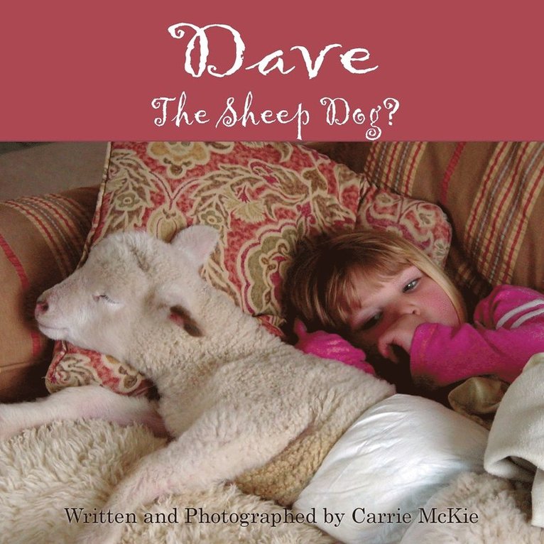 Dave the Sheep Dog? 1