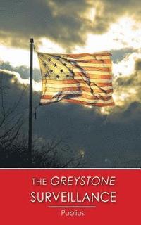 bokomslag The Greystone Surveillance