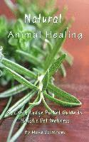 bokomslag Natural Animal Healing - An Earth Lodge Pocket Guide to Holistic Pet Wellness