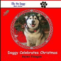 bokomslag Doggy Celebrates Christmas