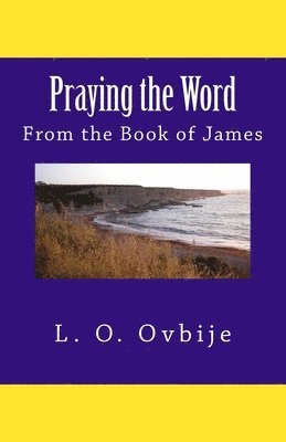 bokomslag Praying the Word From the Book of James