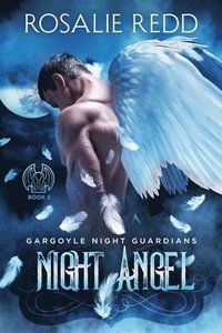 bokomslag Night Angel