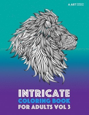 bokomslag Intricate Coloring Book For Adults Vol 3