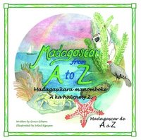 bokomslag Madagascar from a to Z