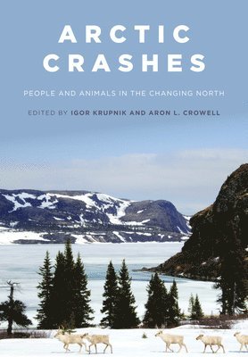 bokomslag Arctic Crashes