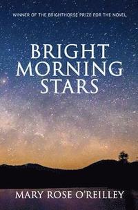 bokomslag Bright Morning Stars