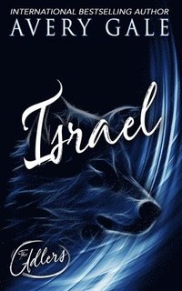 bokomslag Israel