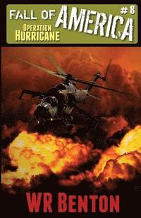 bokomslag Fall of America