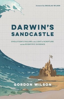 bokomslag Darwin's Sandcastle