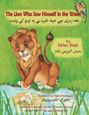 The Lion Who Saw Himself in the Water 1