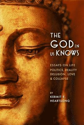 bokomslag The God in Us Knows: Essays on Life, Politics, Reality, Delusion, Love & Collapse