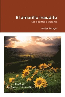 bokomslag amarillo inaudito