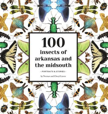 bokomslag 100 Insects of Arkansas and the Midsouth: Portraits & Stories