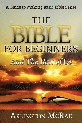 bokomslag The Bible For Beginners And The Rest of Us