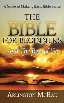 bokomslag The Bible For Beginners And The Rest of Us