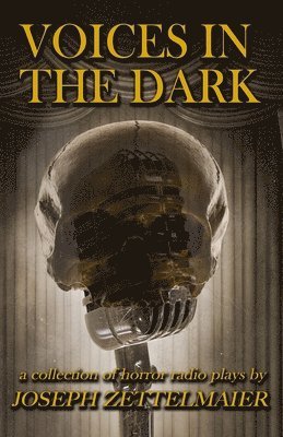Joseph Zettelmaier - Voices In The Dark, Häftad