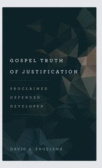 bokomslag Gospel Truth of Justification