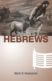 bokomslag Studies in Hebrews