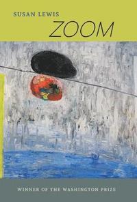 bokomslag Zoom