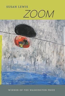 Susan Lewis - Zoom, Häftad