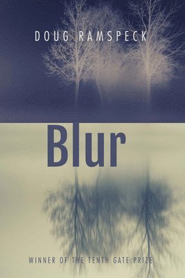 Blur 1