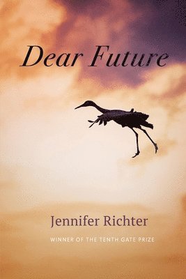 Dear Future 1