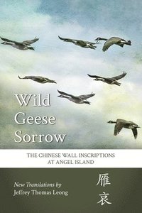 bokomslag Wild Geese Sorrow