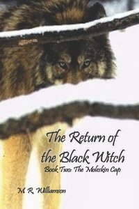 bokomslag The Return of the Black Witch