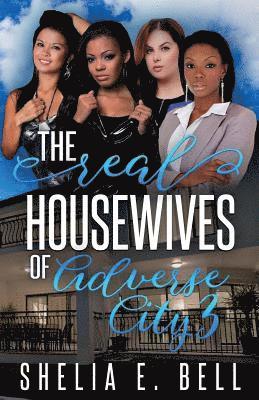 The Real Housewives of Adverse City 3 1