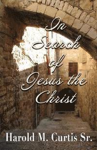bokomslag In Search of Jesus the Christ