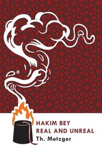 bokomslag Hakim Bey Real and Unreal
