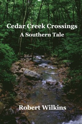 bokomslag Cedar Creek Crossings