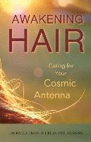 bokomslag Awakening Hair: Caring for Your Cosmic Antenna