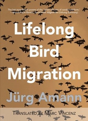 Jürg Amann - Lifelong Bird Migration, Häftad