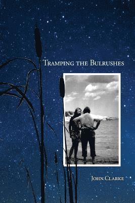 Zimmerman Daniel - Tramping the Bulrushes, Häftad
